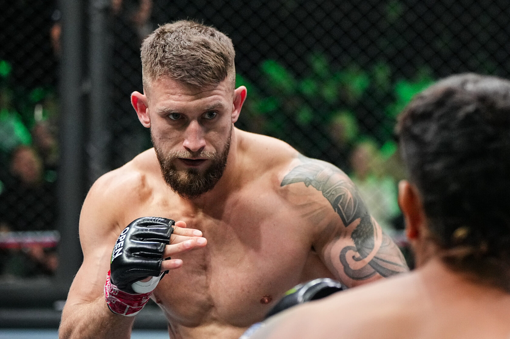 Бой за звание чемпиона MMA Russia